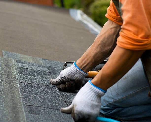 Professional Roofing Contractor in Campton Hills, IL